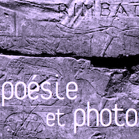 You are currently viewing Poésie et photographie